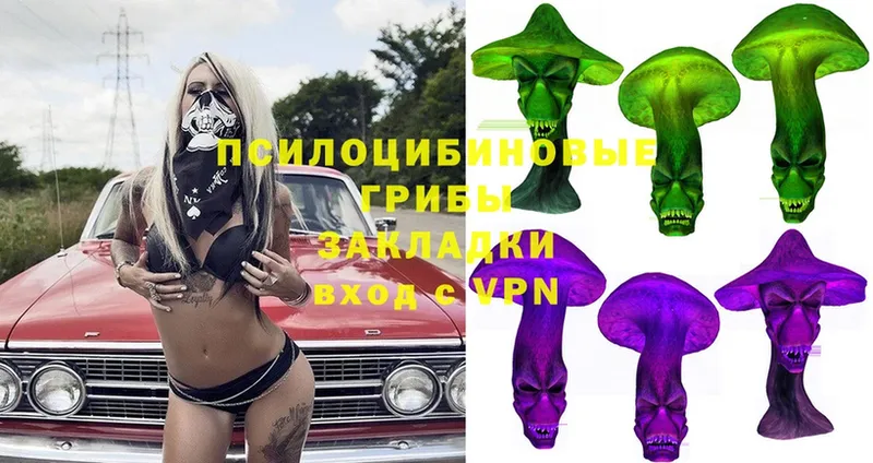 Галлюциногенные грибы Magic Shrooms  Краснознаменск 